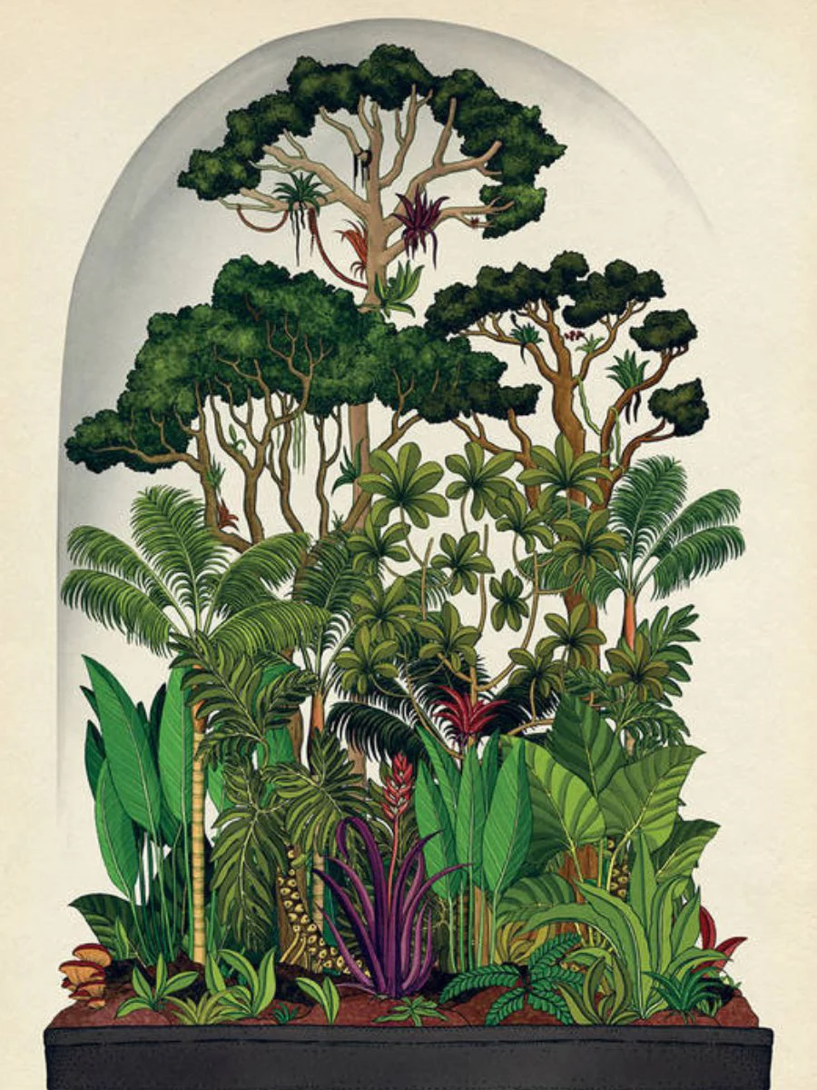 Imagen del producto 2